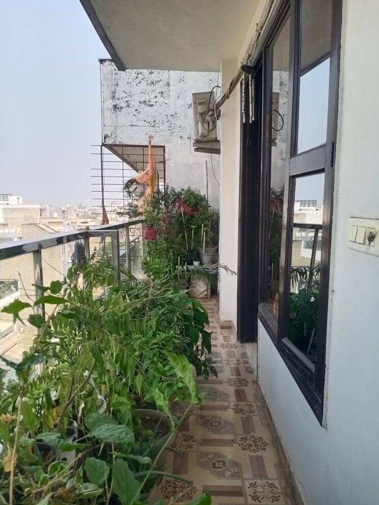 Balcony, sector 42 3 Bedroom 1620 Sq.Ft. Builder Floor In Sector 42 Faridabad 7960582