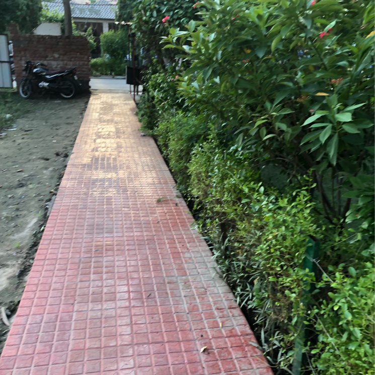 Balcony, jaipuria-enclave 2 Bedroom 1000 Sq.Ft. Builder Floor In Anand Vihar Ghaziabad 7960600