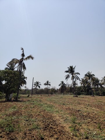   Plot at Gundur – for Sale