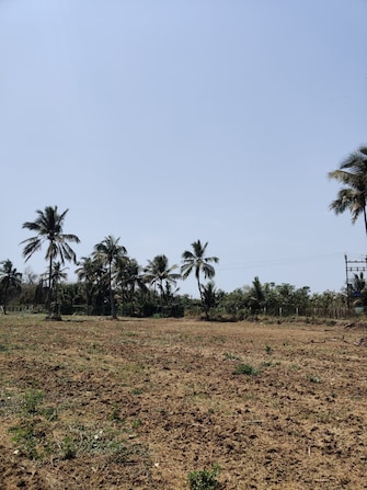 Plot For Resale in Gundur Bangalore  7960597