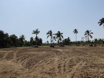 Plot For Resale in Gundur Bangalore  7960597