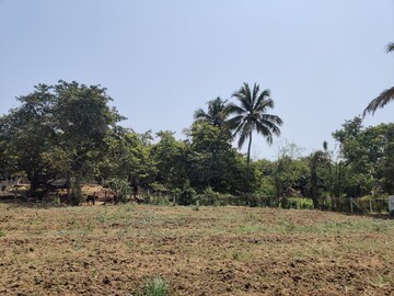 Plot Area in  Plot at Gundur – for Sale