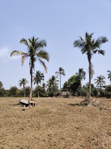 Plot Area in  Plot at Gundur – for Sale