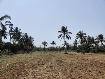 Plot Area in  Plot at Gundur – for Sale