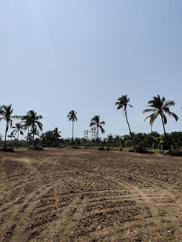  Plot – Exterior View View at Gundur - for Sale