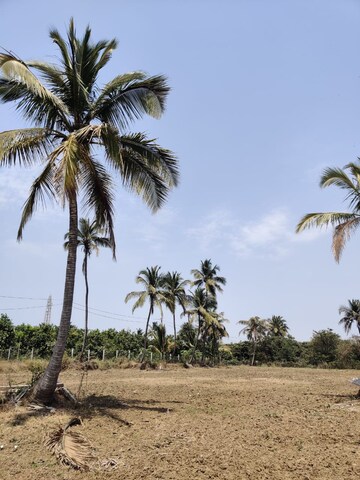 Plot Area in  Plot at Gundur – for Sale