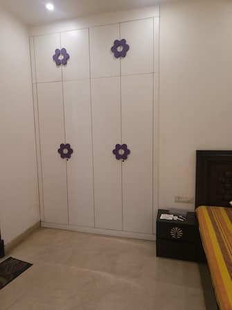 3 BHK Builder Floor For Rent in Veera Safdarjung Enclave Safdarjang Enclave Delhi  7960898