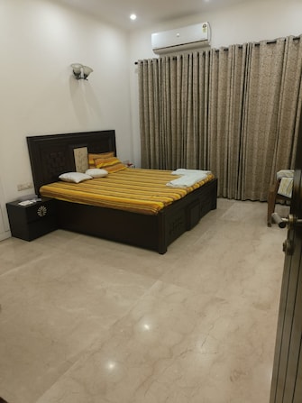 3 BHK Builder Floor For Rent in Veera Safdarjung Enclave Safdarjang Enclave Delhi  7960898