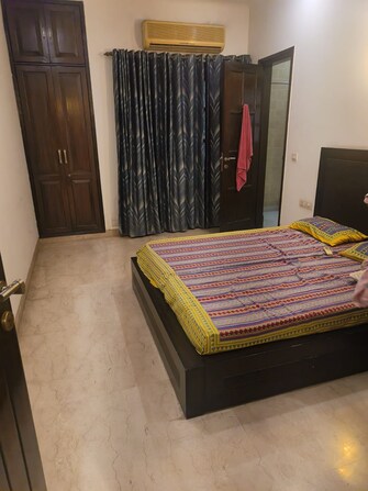 3 BHK Builder Floor For Rent in Veera Safdarjung Enclave Safdarjang Enclave Delhi  7960898