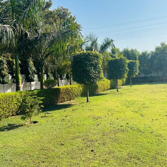 Plot For Resale in Sector 5 Gurgaon  7961029