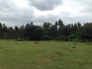 Plot Area in  Plot at Rajanukunte – for Sale