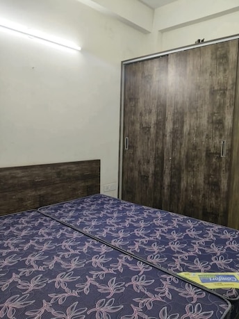 2 BHK Builder Floor For Rent in Sector 9 Gurgaon  7961607