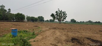 Commercial Land 55000 Sq.Ft. For Resale in Dewas Naka Indore  7955258