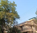 6+ BHK + Pooja Room,Servant Room,Study Room 309 Sq.Mt. Independent House in RWA Apartments Sector 39