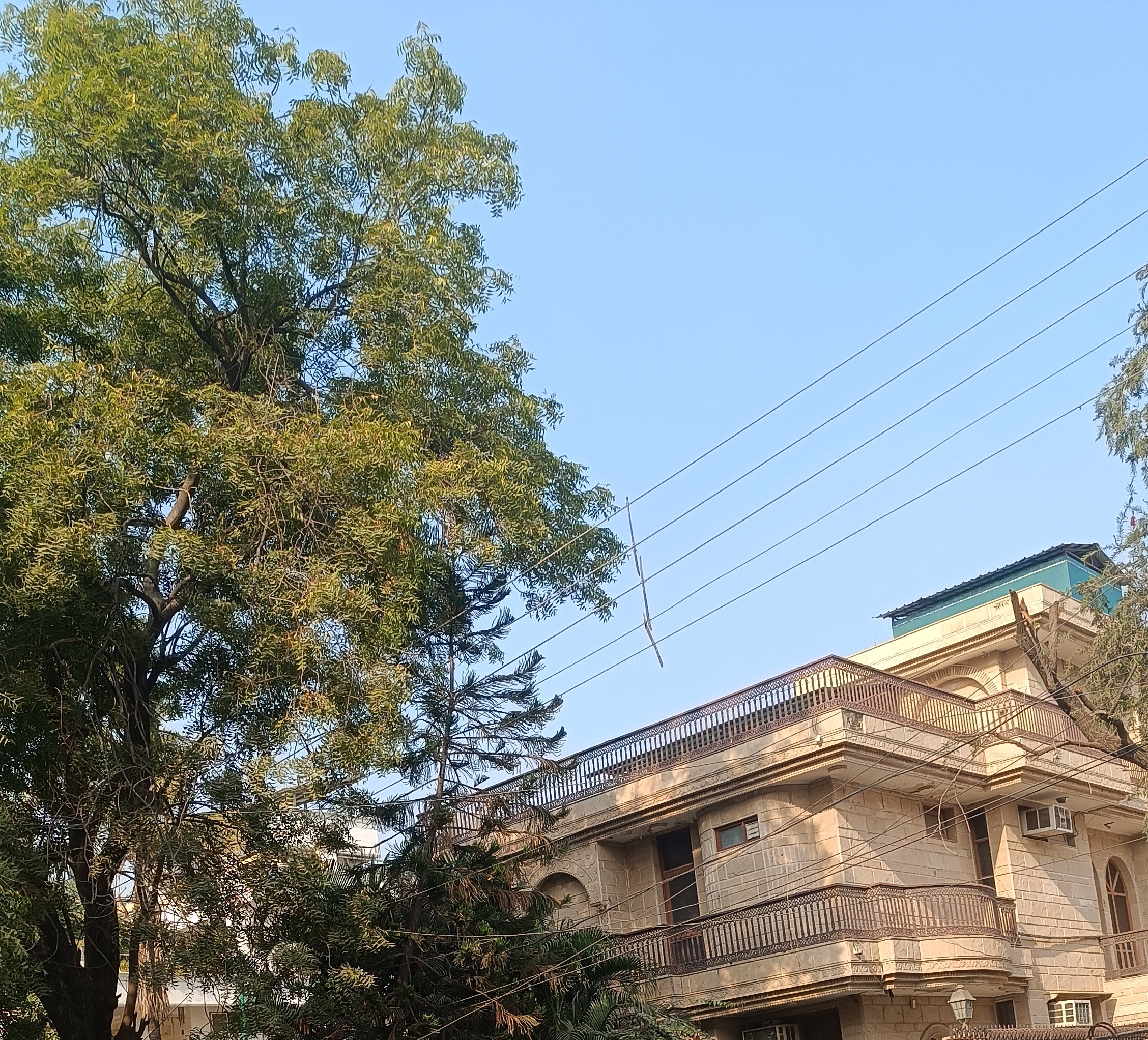 6+ BHK + Pooja Room,Servant Room,Study Room Independent House For Sale in RWA Apartments Sector 39