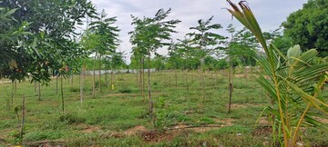 Plot Area in  Land at Yadagirigutta – for Sale