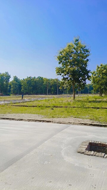 Plot Area in  Plot at Paundha – for Sale