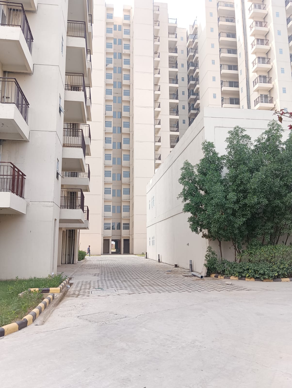 3 BHK Apartment For Sale in Pivotal Paradise