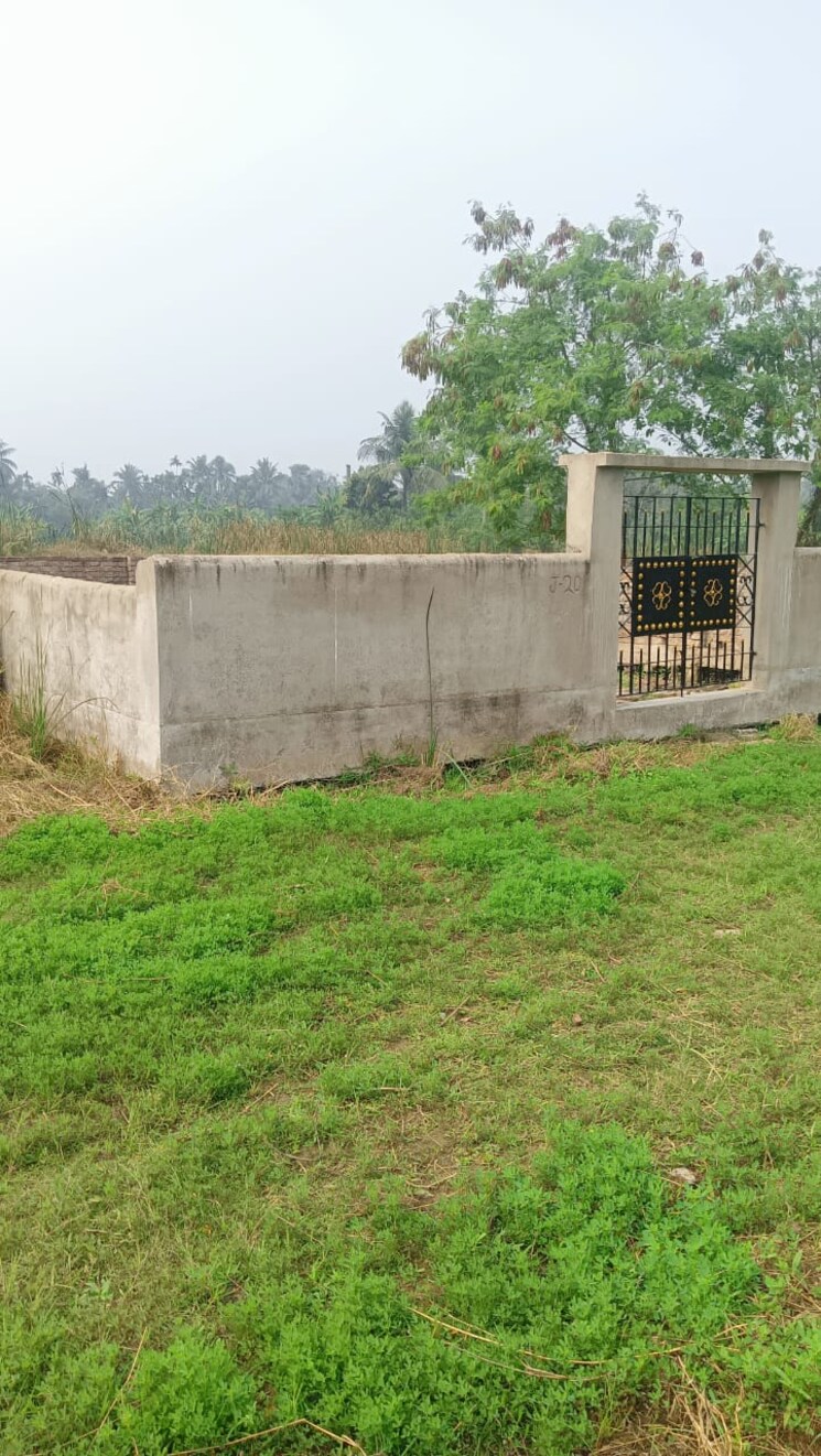 undefined, joka  2160 Sq.Ft. Plot In Joka Kolkata 7963223