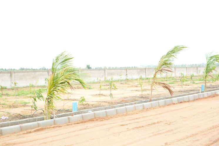 Exterior View, maheshwaram  242 Sq.Yd. Plot In Maheshwaram Hyderabad 7963528