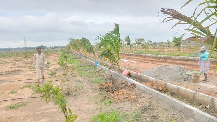 undefined, maheshwaram  242 Sq.Yd. Plot In Maheshwaram Hyderabad 7963528