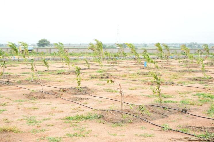 undefined, maheshwaram  242 Sq.Yd. Plot In Maheshwaram Hyderabad 7963528