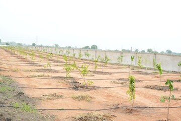 Plot Area in  Plot at Maheshwaram – for Sale