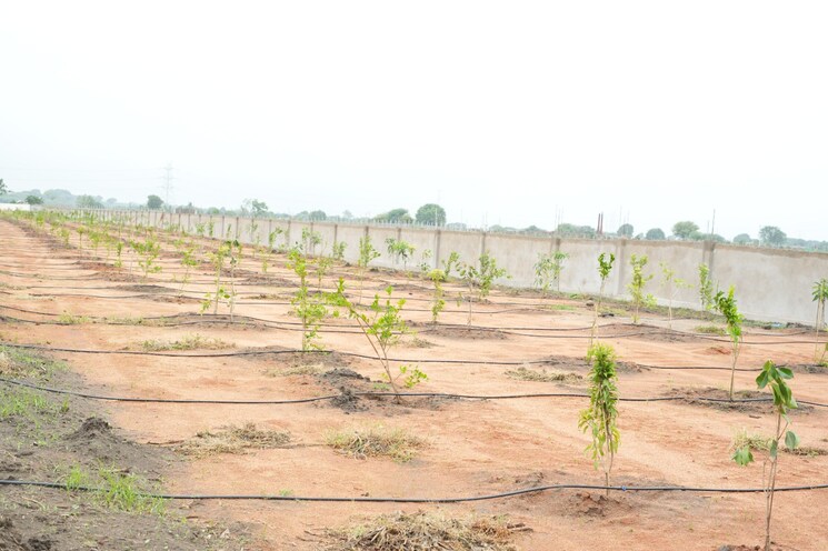 undefined, maheshwaram  242 Sq.Yd. Plot In Maheshwaram Hyderabad 7963528