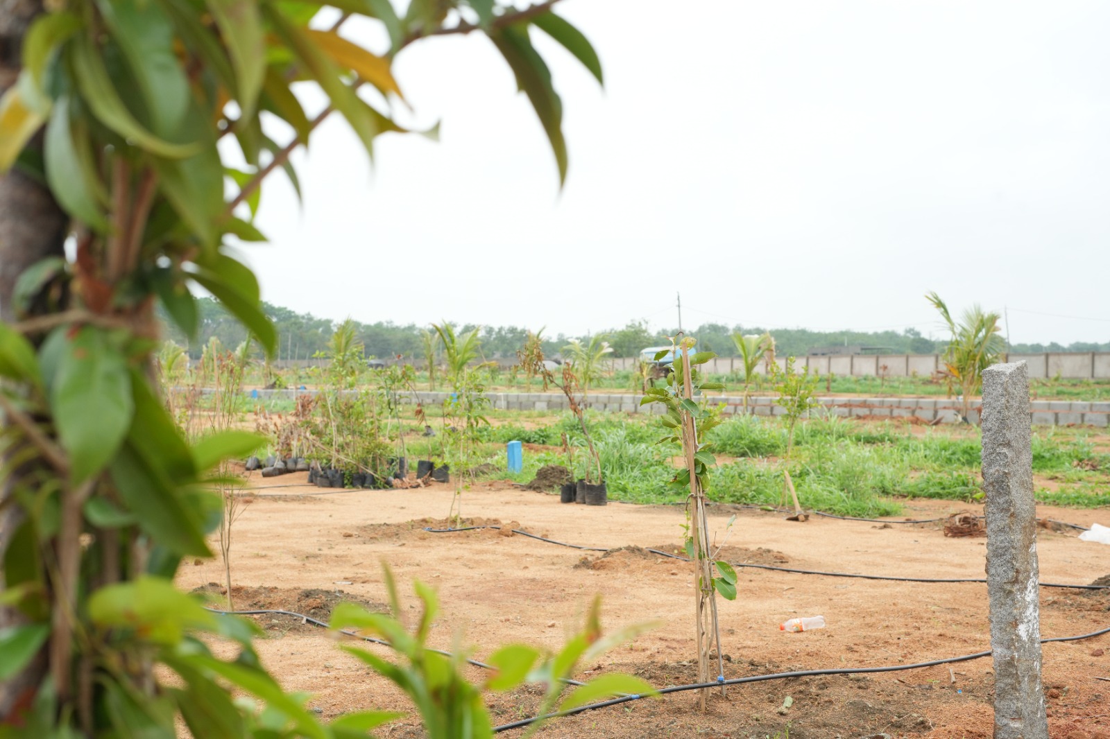 Plot For Sale in Mahalaxmi Nandanam 