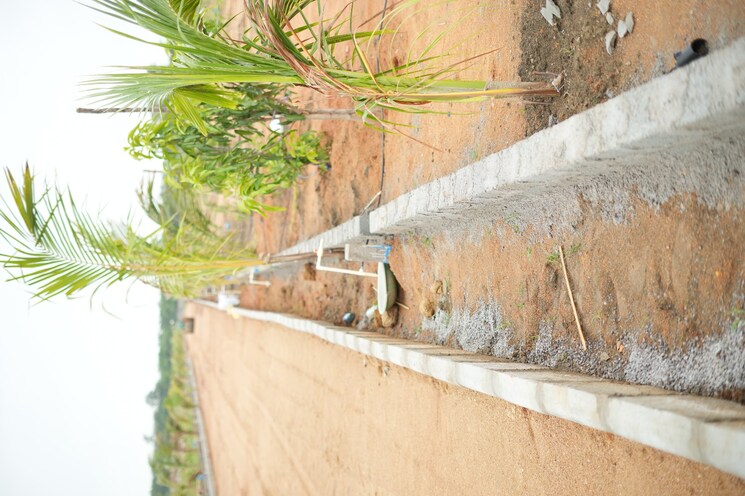 Exterior View, maheshwaram  484 Sq.Yd. Plot In Maheshwaram Hyderabad 7963576