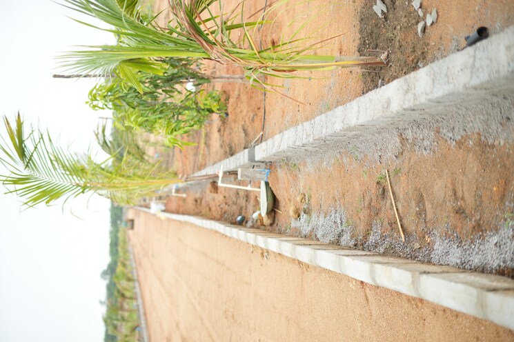 Exterior View, maheshwaram  484 Sq.Yd. Plot In Maheshwaram Hyderabad 7963576