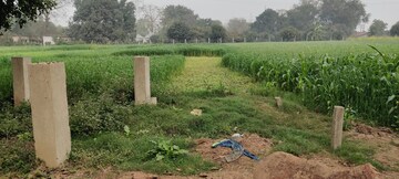 Plot Area in  Plot at Sain Vihar – for Sale
