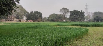 Plot For Resale in Sain Vihar Ghaziabad  7963590