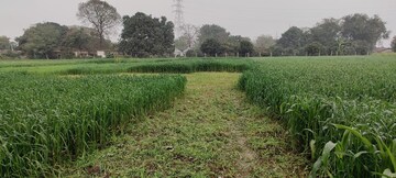 Plot Area in  Plot at Sain Vihar – for Sale