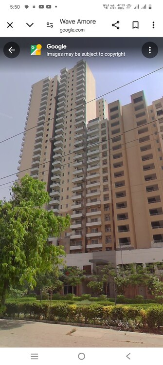 3 BHK Apartment For Rent in Wave Amore Sector 32 Noida  7963912