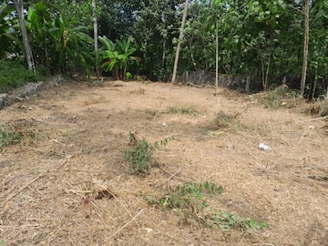 Plot For Resale in Pothencode Thiruvananthapuram  7963894