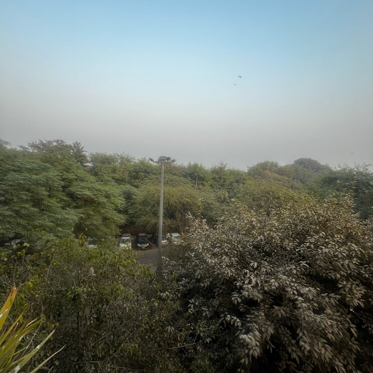 undefined, lado sarai 2 Bedroom 800 Sq.Ft. Builder Floor In Lado Sarai Delhi 7964193