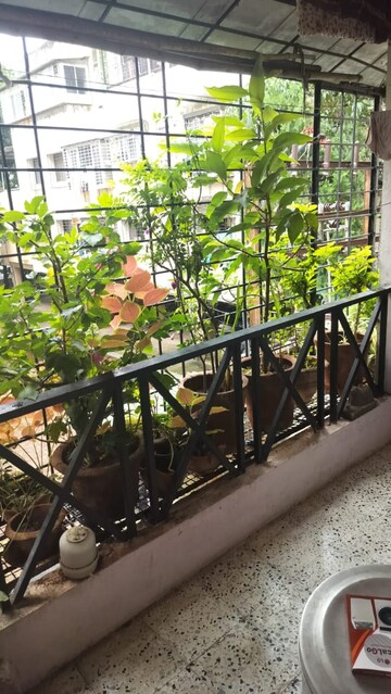 2 BHK Apartment For Rent in M R Platinum 321, Raj Nagar Extension