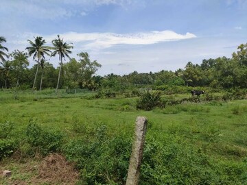 Plot For Resale in Trivandrum Thiruvananthapuram  7964284