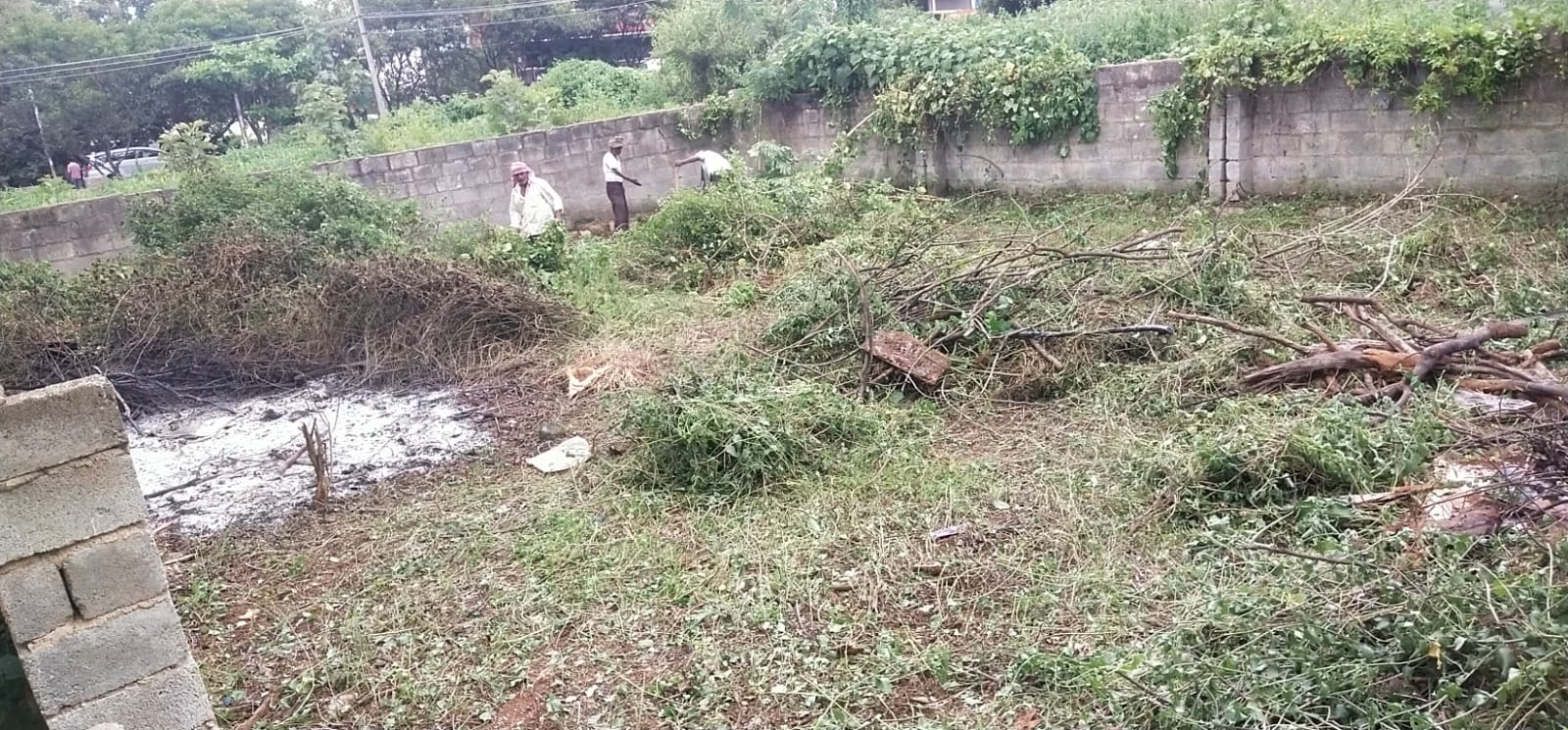 Plot For Sale in SMV Layout