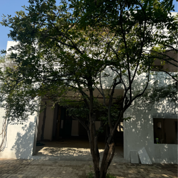  Shop For Rent in Jubilee Hills