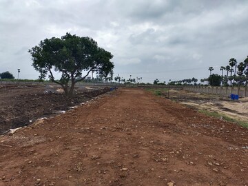  Plot For Sale in Kankipadu