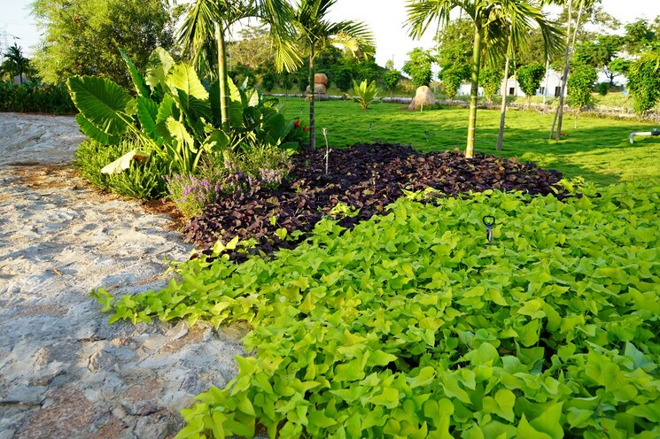 Garden, kaveri-elite-shadnagar  250 Sq.Yd. Plot In Shadnagar Hyderabad 7964572