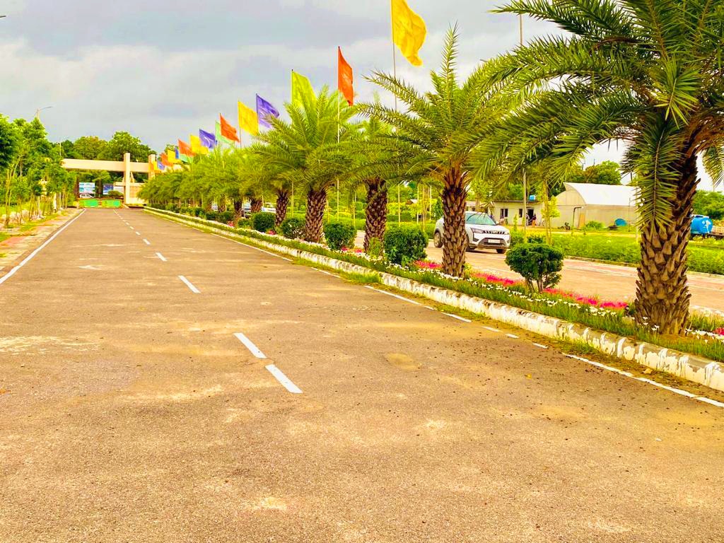 Plot For Sale in Wing Lucknow Greens Plots