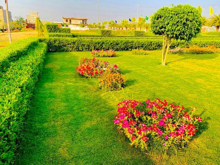 Garden, wing-lucknow-greens-plots  1250 Sq.Ft. Plot In Sultanpur Road Lucknow 7964680