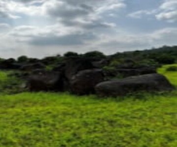 Plot Area in  Plot at Chorao – for Sale
