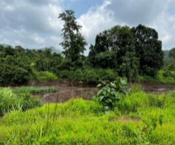 Plot For Resale in Chorao Goa  7964693