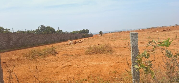 undefined, abdullahpurmet  100 Sq.Yd. Plot In Abdullahpurmet Hyderabad 7964695