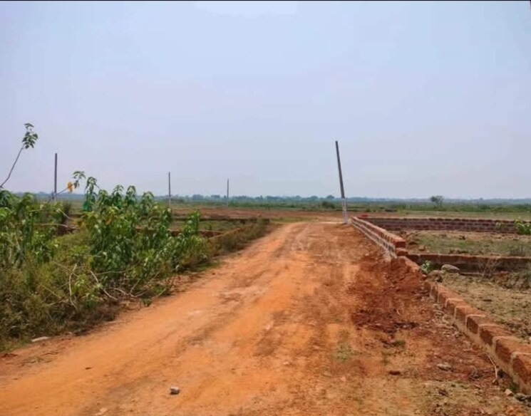 undefined, patrapada  1328 Sq.Ft. Plot In Patrapada Bhubaneswar 7964777
