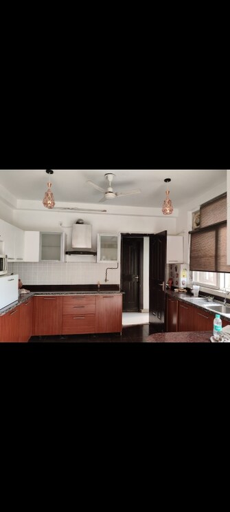 4 BHK Apartment For Rent in ABA Corp Orange County Ahinsa Khand 1 Ghaziabad  7964851